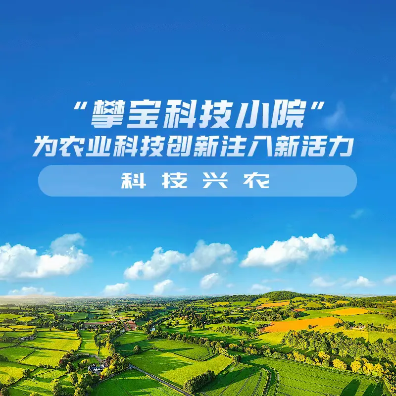 攀宝党建与科技小院资料 1
