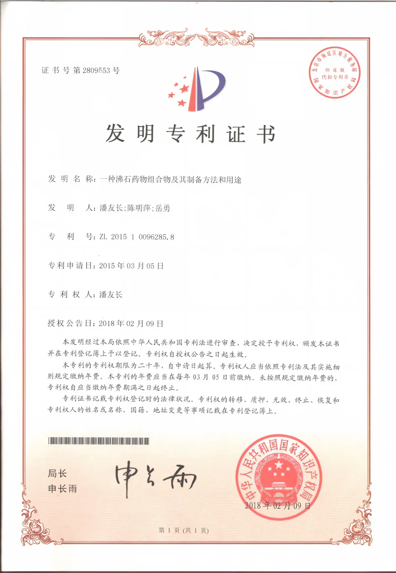 一种沸石药物组合物及其制备方法和用途专利证书