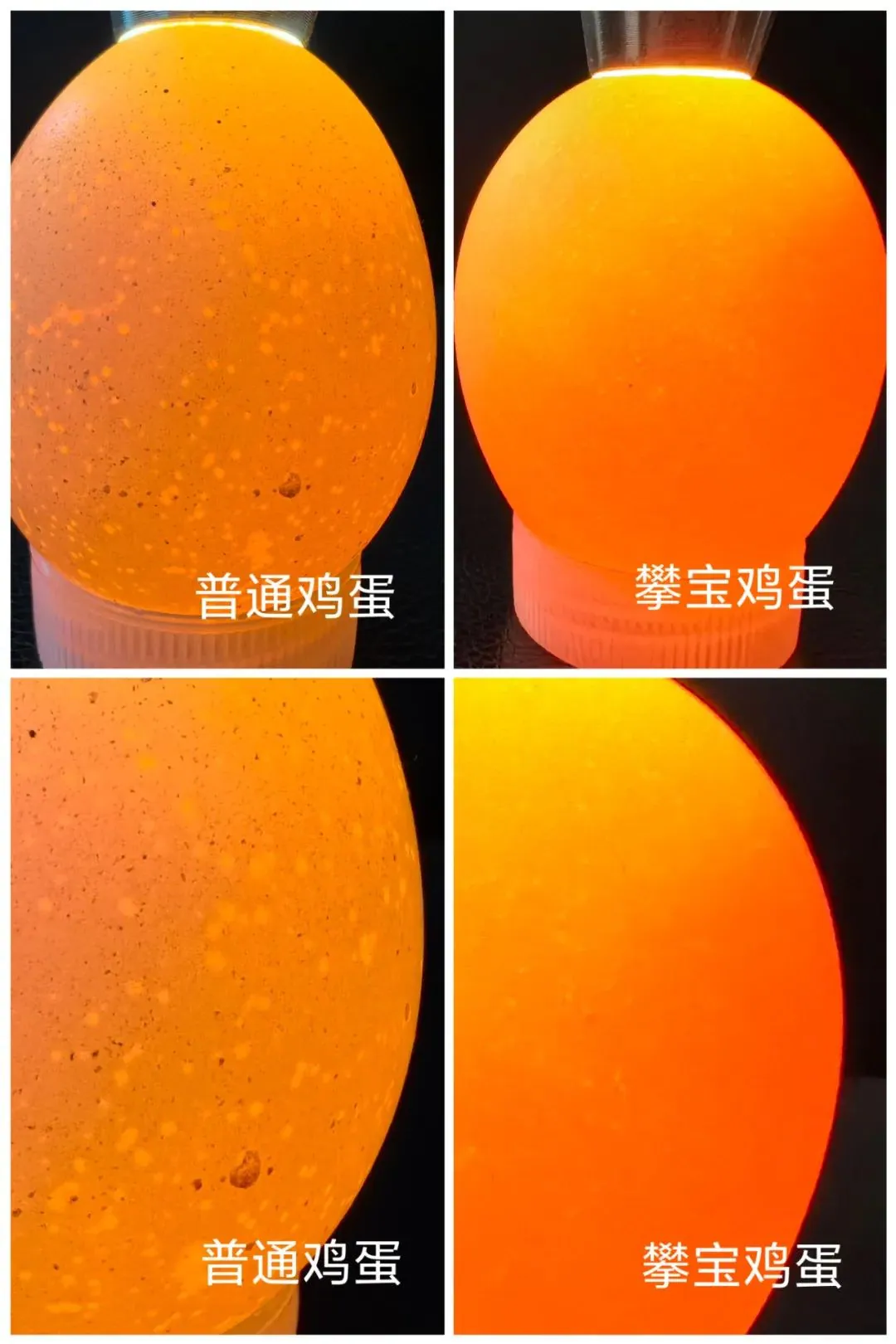 玛纳斯县蛋鸡产业园养殖场数据案例