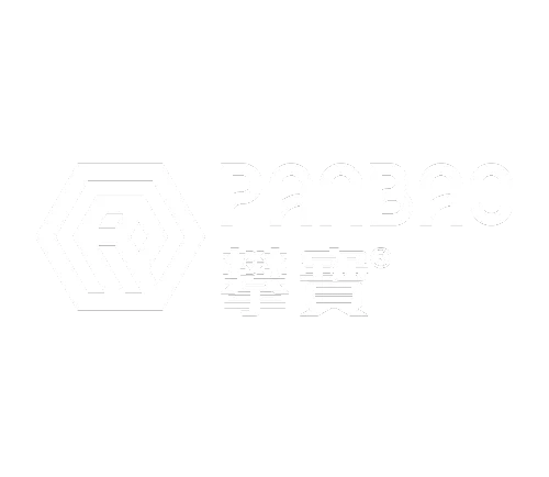 攀宝 PANBAO