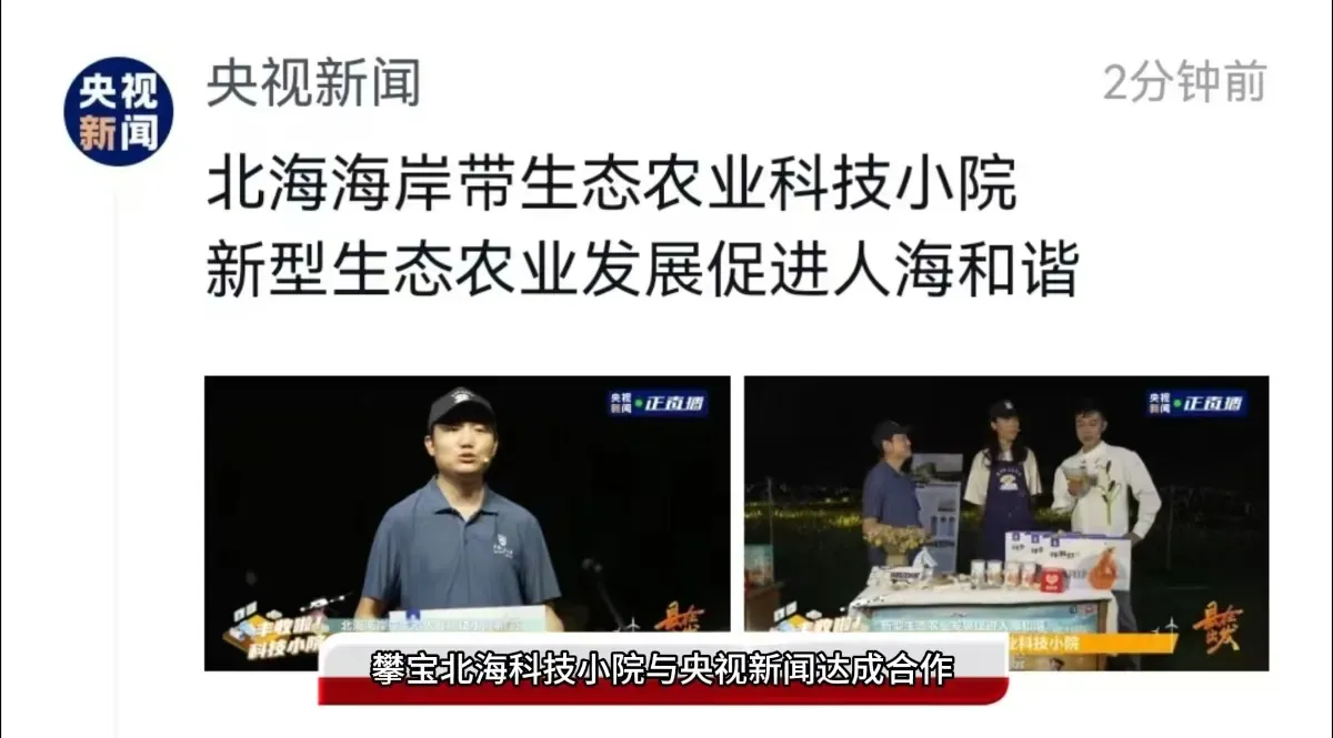 广西北海海岸带生态农业科技小院亮相于央视新闻直播节目（视频）