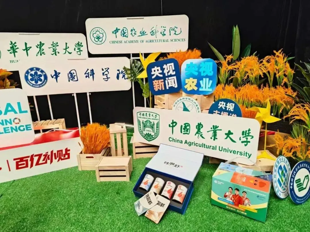 北海海岸带生态农业：科技与美食的奇妙交融