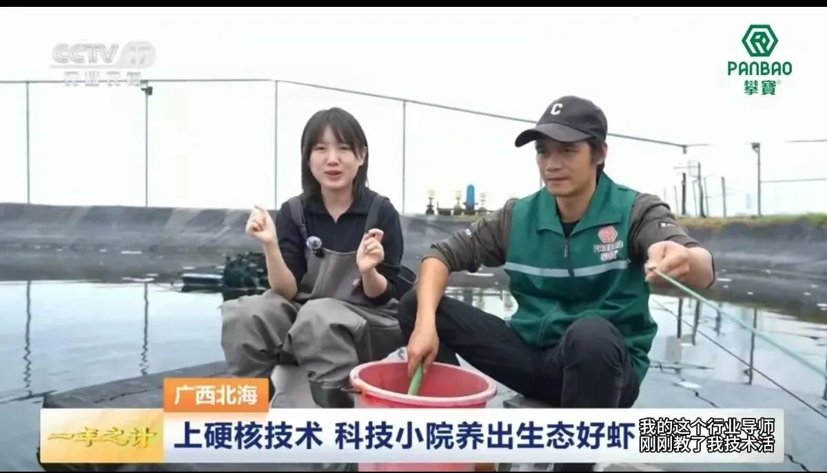 沸石：赋能水产养殖水质调控与生态优化