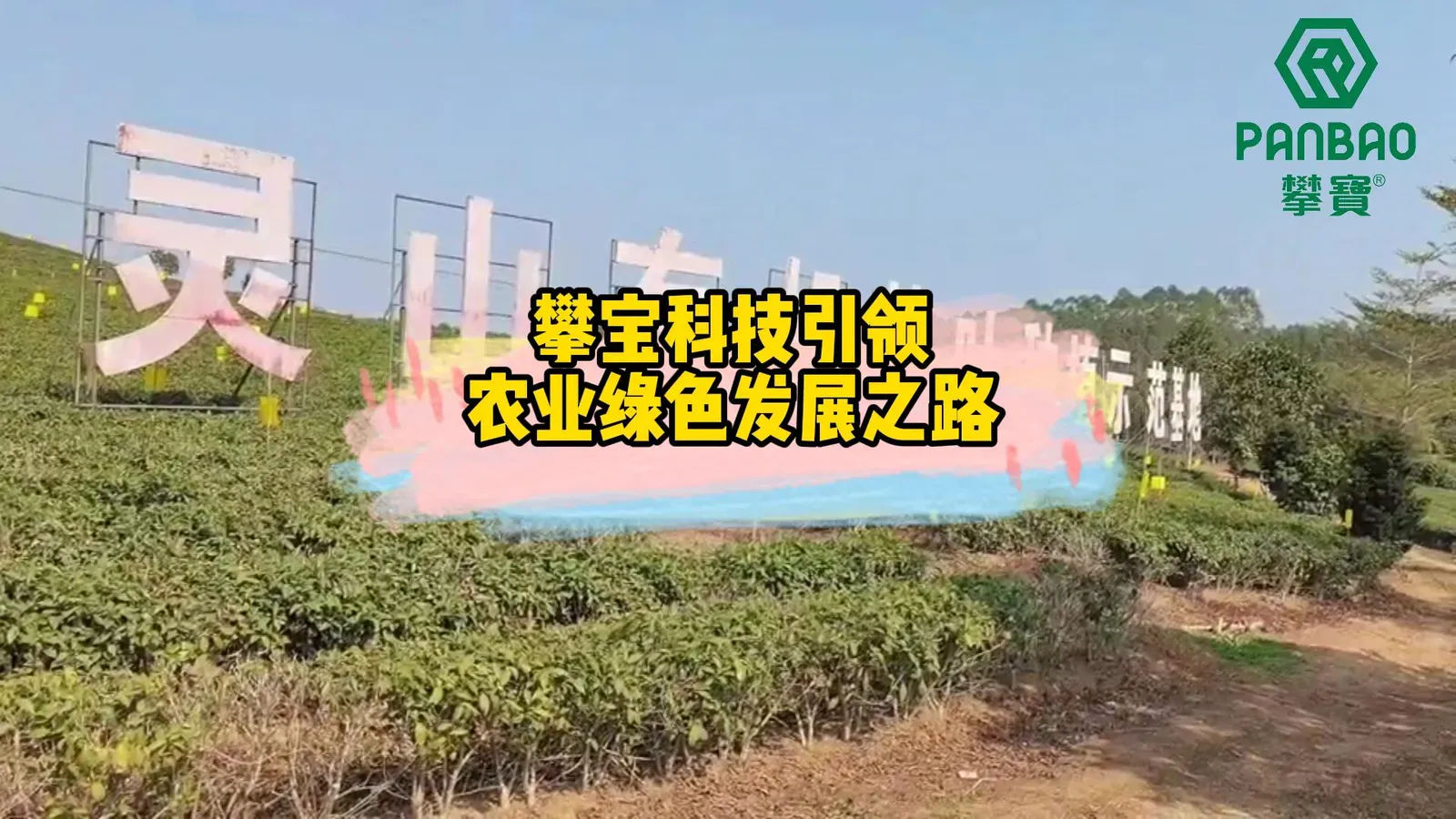 北京攀宝生物科技有限公司-百香果卫视专题