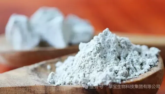 沸石：从天然矿物到环境治理的“分子工匠”