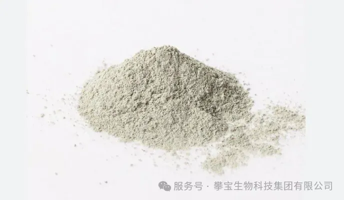 让火山石激活磷的生命力：天然沸石如何让“贫瘠土”变良田？