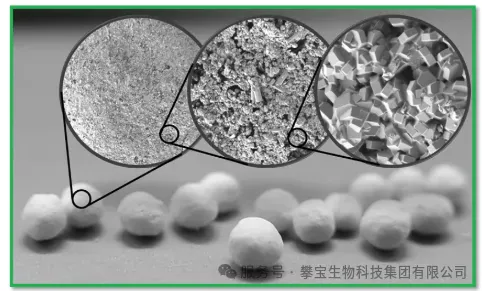 天然沸石的“核时代使命”：全球放射性核素分离研究进入精准化阶段