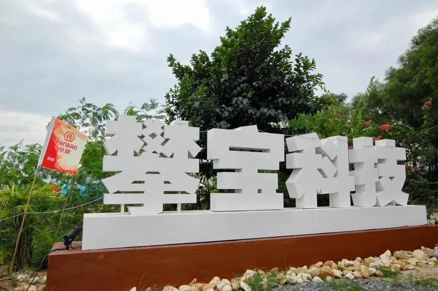 央视聚焦赋能行业标杆 攀宝科技引领生态养殖与红树林修复革新