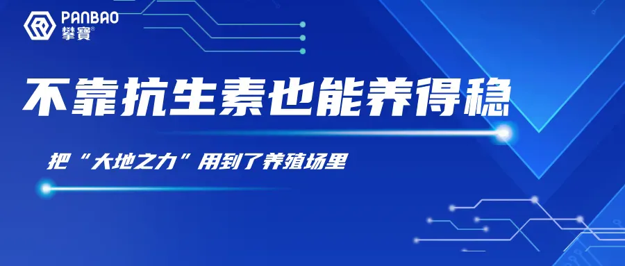 不靠抗生素也能养得稳——我们把“大地之力”用到了养殖场里