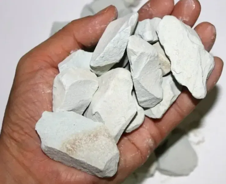 沸石健康 | 天然沸石改良家禽粪便提升柑橘养分利用与产量