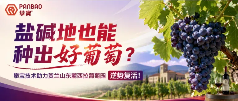 攀宝案例 | 盐碱地也能种出好葡萄？攀宝技术助力贺兰山东麓西拉葡萄园“逆势复活”！