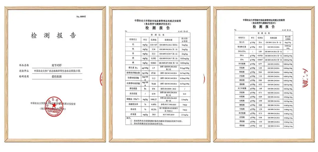 央视聚焦赋能行业标杆 攀宝科技引领生态养殖与红树林修复革新