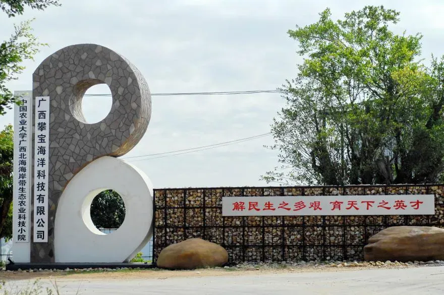 央视聚焦赋能行业标杆 攀宝科技引领生态养殖与红树林修复革新