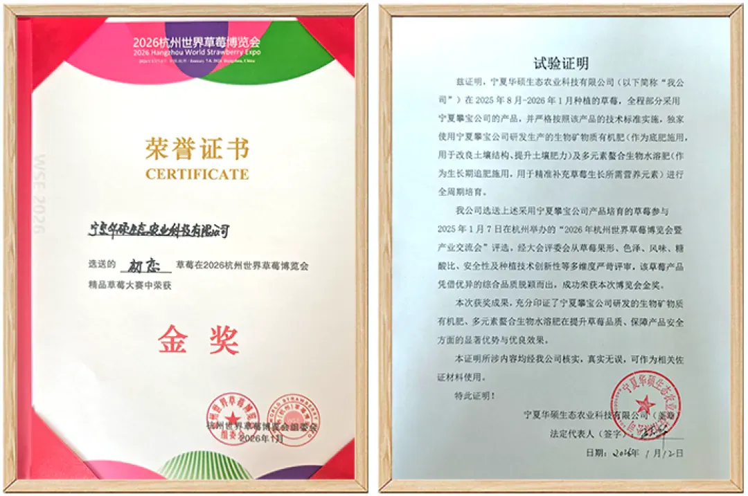攀宝案例 | 金奖草莓怎么种出来的?宁夏全周期试验:矿物质有机肥打底,品质“稳”上去