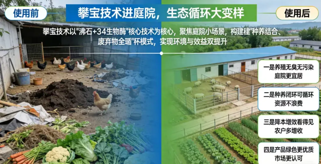 攀宝动态 | 庭院用上攀宝技术,就是发展农业新质生产力