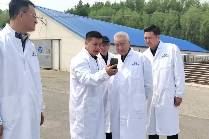 攀宝集团携手皓月集团签署战略合作框架协议 共推“无抗牛肉”与绿色养殖新升级