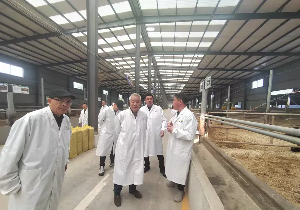 攀宝集团携手皓月集团签署战略合作框架协议 共推“无抗牛肉”与绿色养殖新升级