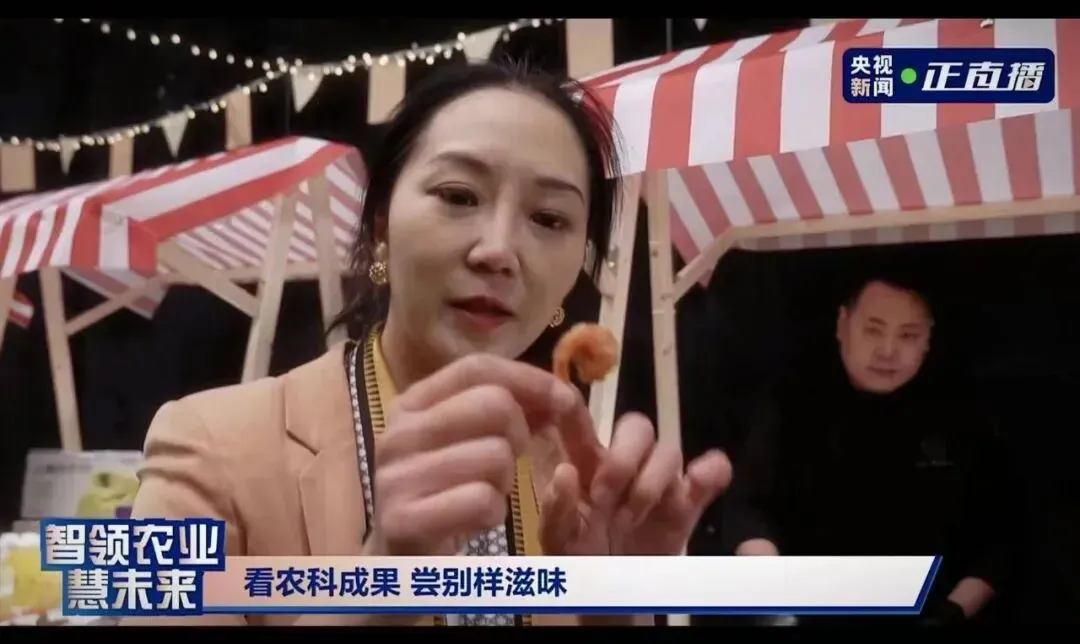 北海海岸带生态农业:科技与美食的奇妙交融