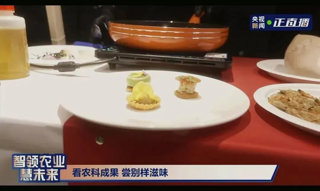 北海海岸带生态农业:科技与美食的奇妙交融