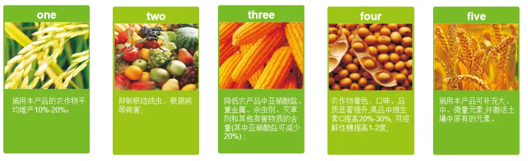健康的土壤是根本——攀宝生物矿物质有机肥让地力更稳、果蔬更香