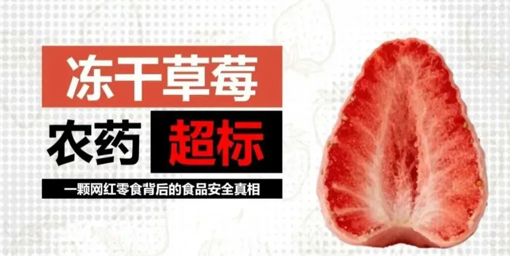 把安全种进土地里,把安心端上餐桌——写在3·15之后,攀宝想对每一位消费者说的话