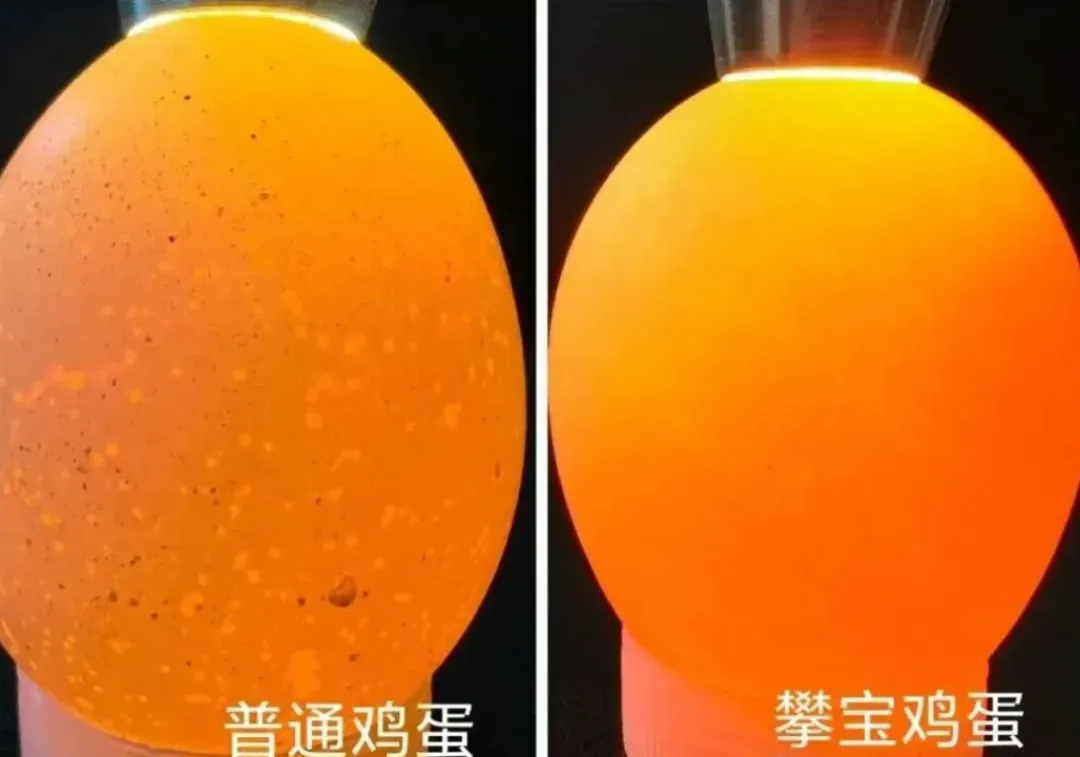 把安全种进土地里,把安心端上餐桌——写在3·15之后,攀宝想对每一位消费者说的话