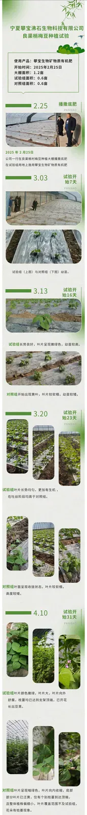 良渠梢豆角试验：小品种里藏着的农业科技大文章