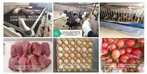 攀宝动态 | 乡村产业破局,从“散与卷”到系统重构,攀宝给出新答案