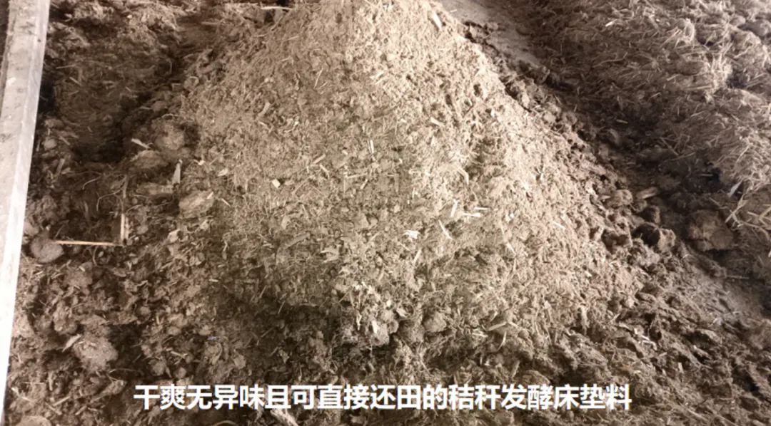 秸秆粪污变高效有机肥,攀宝生物科技打通生态循环农业链