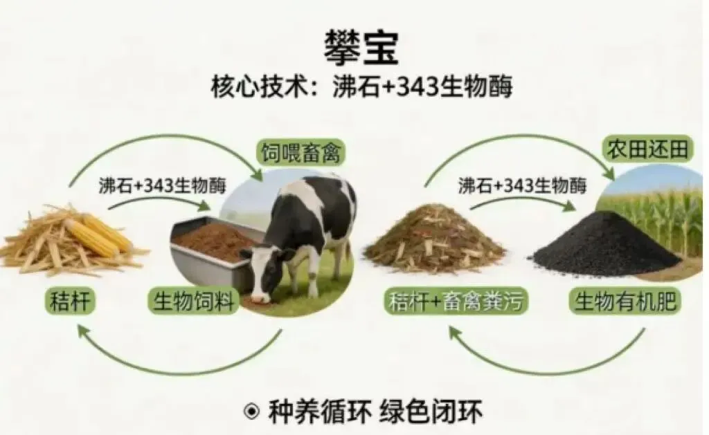 秸秆粪污变高效有机肥,攀宝生物科技打通生态循环农业链