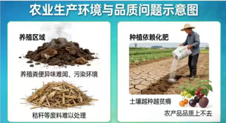 秸秆粪污变高效有机肥,攀宝生物科技打通生态循环农业链