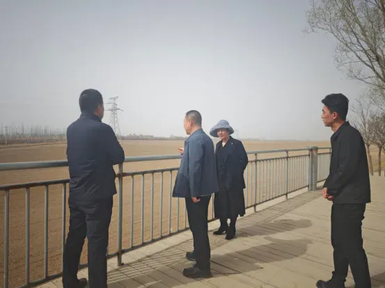 宁夏攀宝沸石生物科技有限公司前进农场水稻种植试验