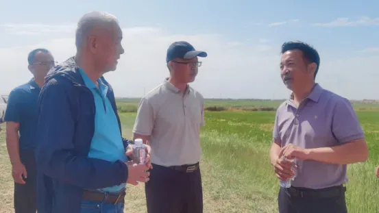 宁夏攀宝沸石生物科技有限公司前进农场水稻种植试验