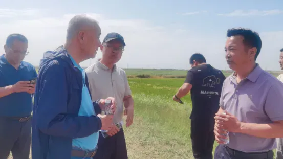 宁夏攀宝沸石生物科技有限公司前进农场水稻种植试验