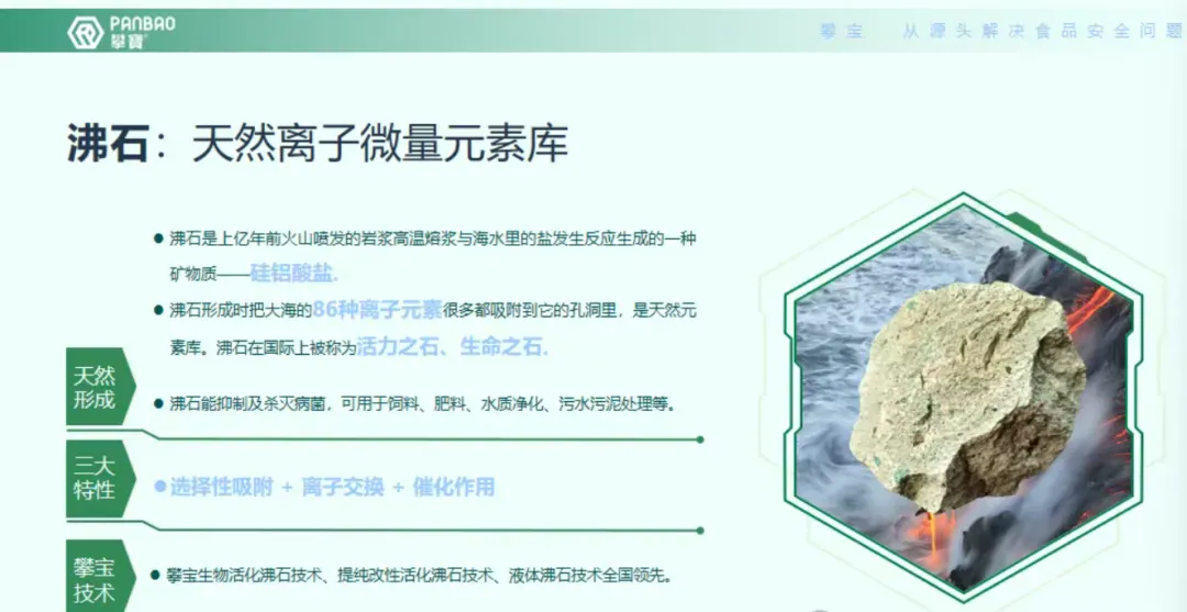 攀宝动态 | 一场悄无声息的土壤革命——攀宝生物科技,从源头守护你的餐桌安全