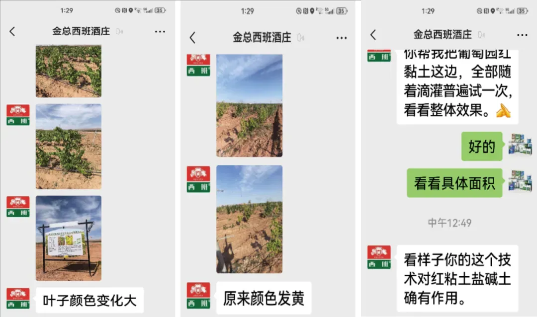 攀宝案例 | 盐碱地也能种出好葡萄?攀宝技术助力贺兰山东麓西拉葡萄园“逆势复活”!