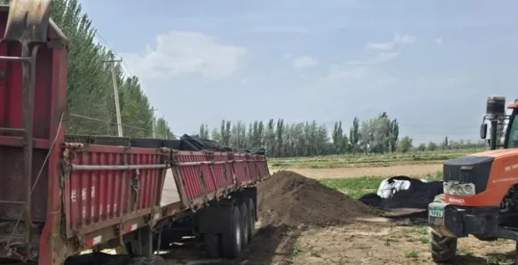 攀宝案例 | pH≥9.2的盐碱地,竟然种出整齐高粱?宁夏120亩试验给出结果