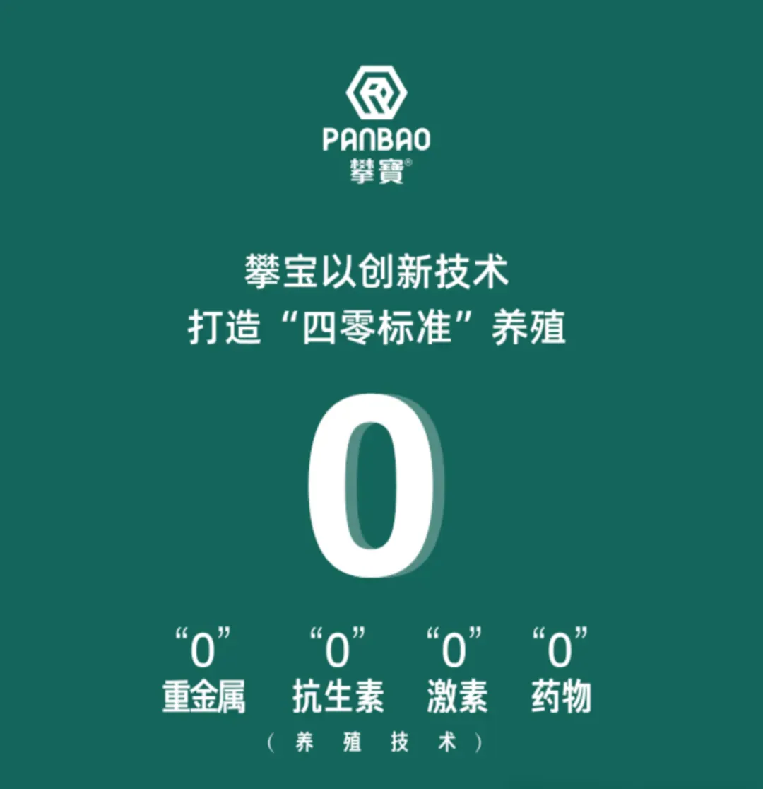 攀宝动态 | 从源头守护餐桌安全:攀宝科技构建“四零标准”绿色农产品新体系