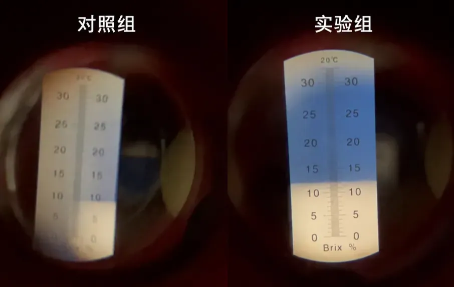攀宝案例 | 那些关于西瓜的谣言:小时候的西瓜更甜,所以更安全吗?