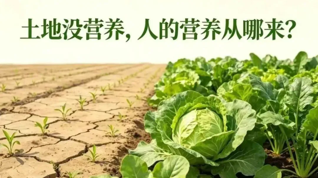 攀宝动态 | 土壤正在“失去生命力”,攀宝用科技让土地重新焕发生机