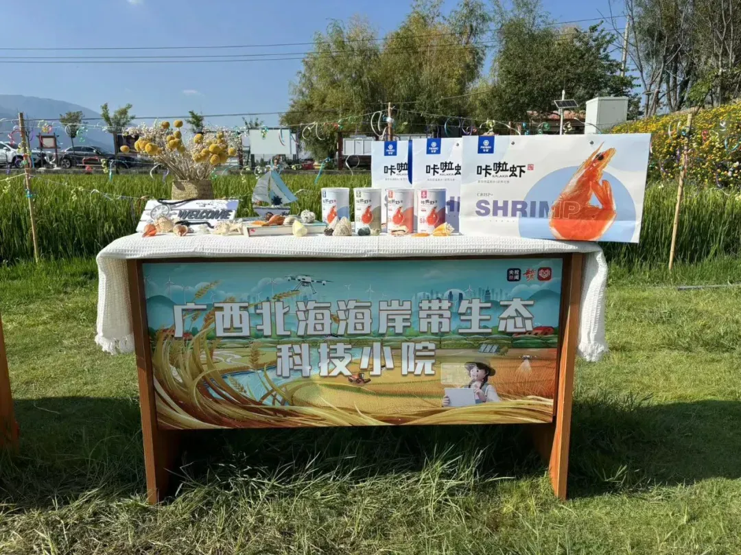 央视新闻直播攀宝生态咔啦虾——北海海岸带生态农业科技小院参与央视“县”在出发节目