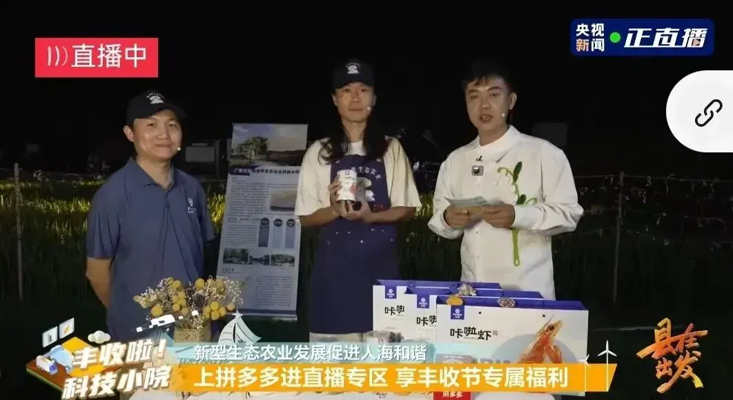 央视新闻直播攀宝生态咔啦虾——北海海岸带生态农业科技小院参与央视“县”在出发节目
