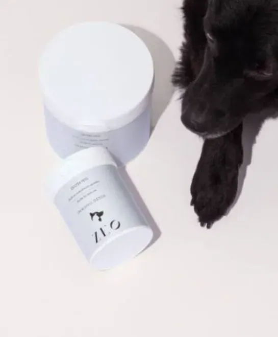 沸石新闻 | 天然沸石在犬类营养中的功能机制与安全性解析