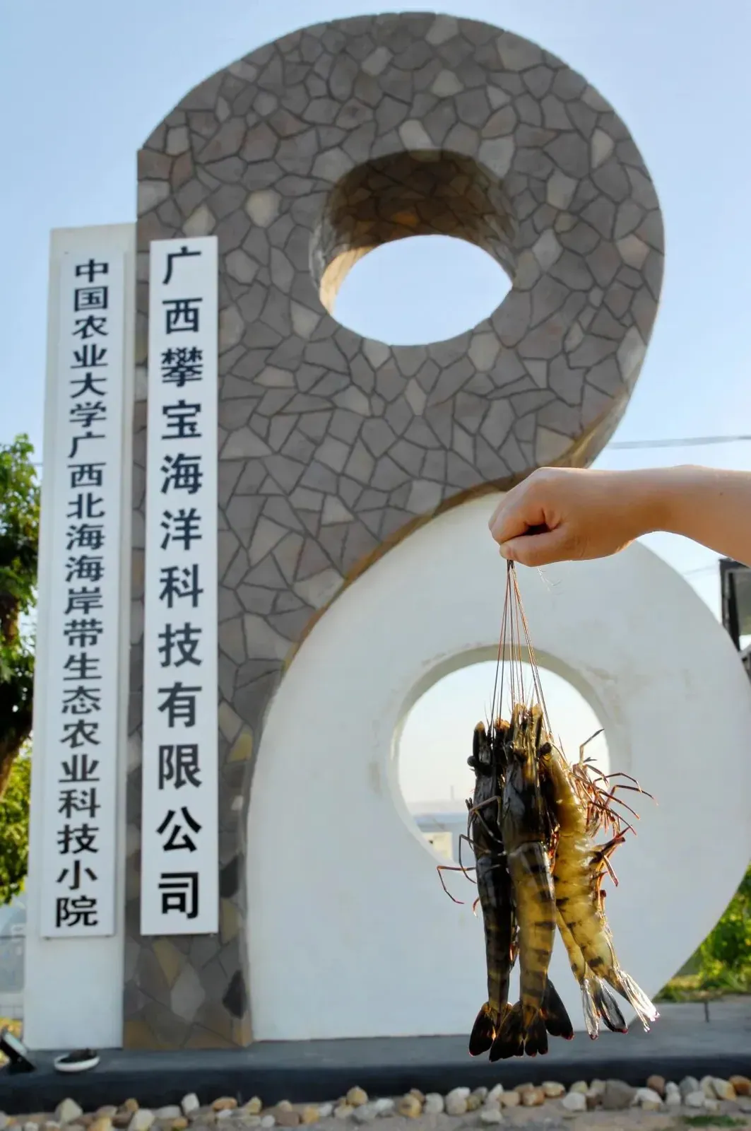 攀宝动态 | 中国农业大学广西北海海岸带生态农业科技小院开放日活动圆满举行