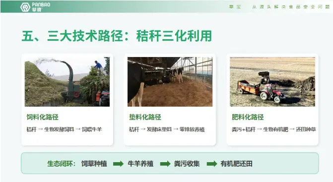 攀宝热点 | 畜禽粪污不是负担,关键是怎么把它变成资源