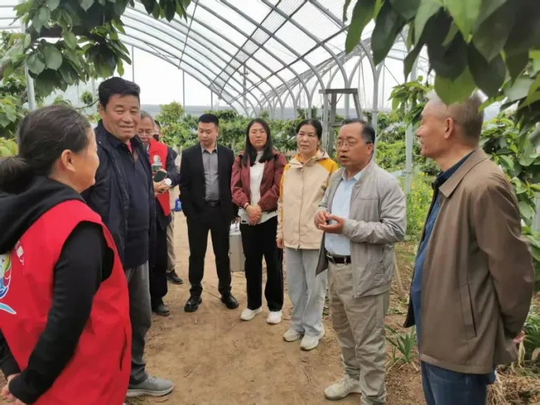 科技赋能沃土 专家助力兴农 ——攀宝携手农业专家赋能灞桥樱桃产业发展