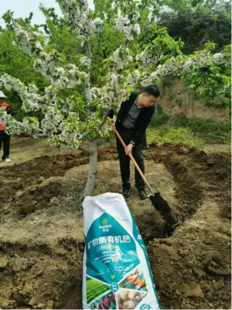 科技赋能沃土 专家助力兴农 ——攀宝携手农业专家赋能灞桥樱桃产业发展