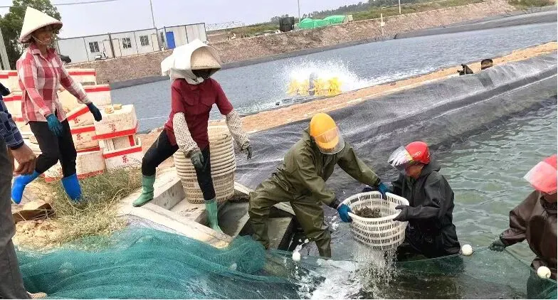 科技赋能绿色农业，北海海岸带生态农业科技小院在大理洱海展示科技创新成果