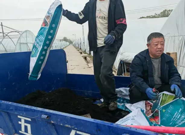 案例追踪——攀宝生物沸石有机肥,助力宁夏辣椒大增产